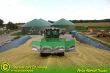 Maissilage2011_03.JPG