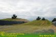 Maissilage2011_05.JPG