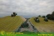 Maissilage2011_14.JPG