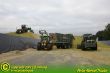 Maissilage2011_16.JPG